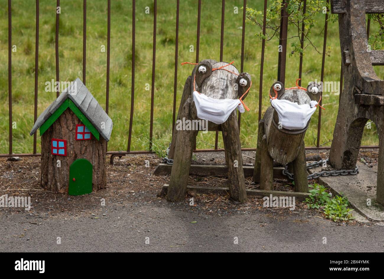 Sedbergh, Cumbria, Großbritannien. Juni 2020. Holzhunde tragen ihre eigene PSA an der Seite der Einfahrt nach Sedbergh, Cumbria, und erinnern Besucher daran, auf dem Coronavirus zu bleiben. Quelle: John Eveson / Alamy Live News Stockfoto