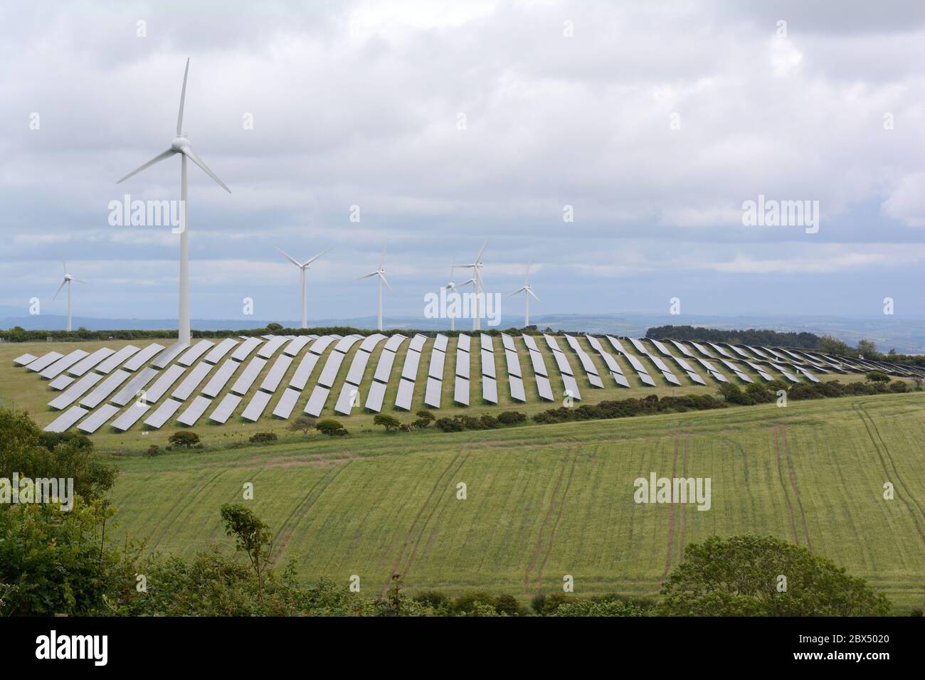 Sonnenkollektoren und Windkraftanlagen in der walisischen Landschaft pendine Carmarthenshire Wales Cymru UK Stockfoto