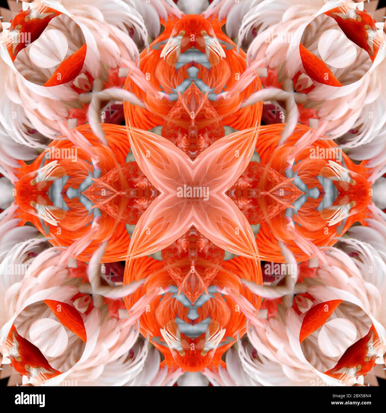 Nahtlose symmetrische Muster abstrakte Federn Textur Stockfoto