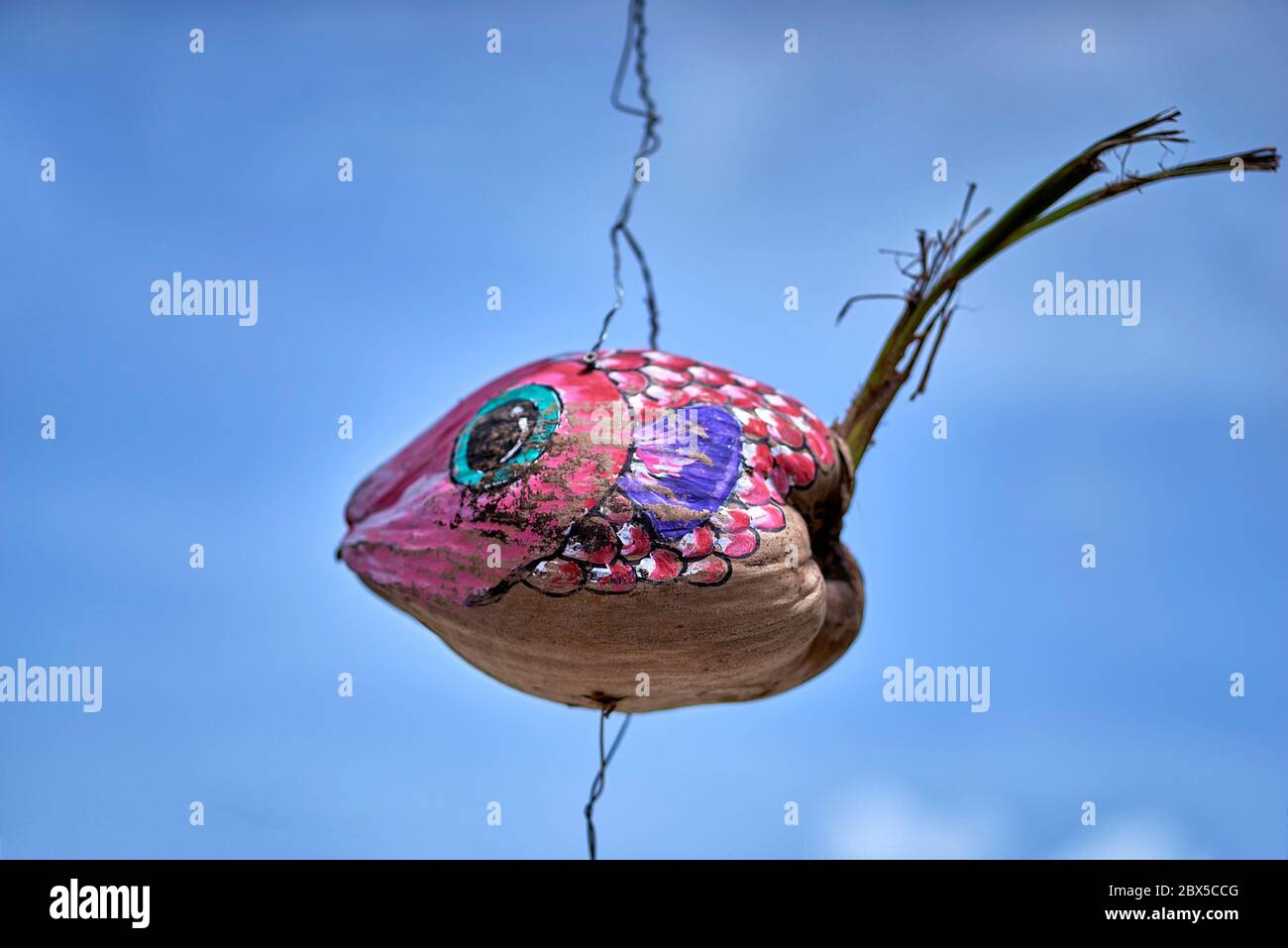 Lustige Kunst Kokosnüsse. Ungewöhnliche Kunstdarstellung von handgemalten Kokosnüssen hängen am Pattaya Strand, Thailand Südostasien als Touristenattraktion. Stockfoto