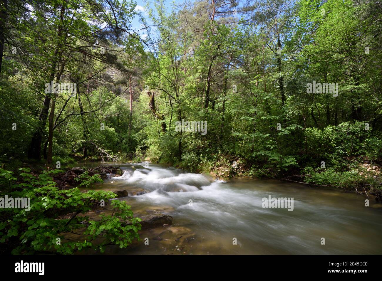 Wildwasserstrompen in der Caramy Gorge oder River Tourves Var Provence France Stockfoto