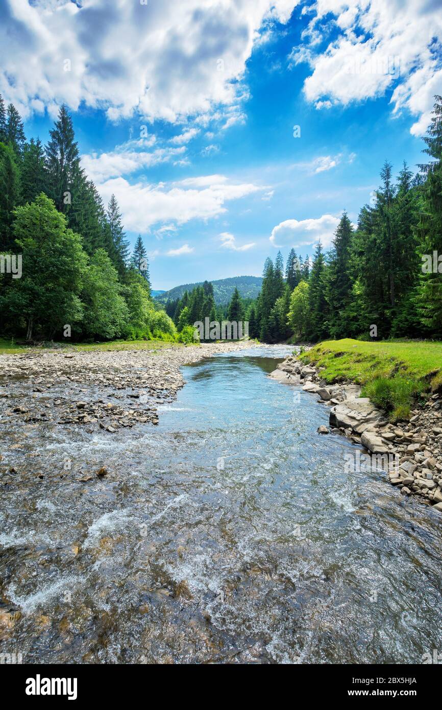 Fluss in der Berglandschaft. Schöne Naturlandschaft mit Wasserfluss im Wald. Sonniger Tag mit flauschigen Wolken am Himmel Stockfoto