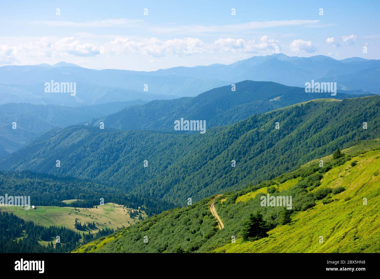 Sommer Berglandschaft. Grüne Hügel Rollen in die Ferne. Flauschige Wolken auf dem blauen Himmel über dem Tal. Helle sonnigen Tag Stockfoto