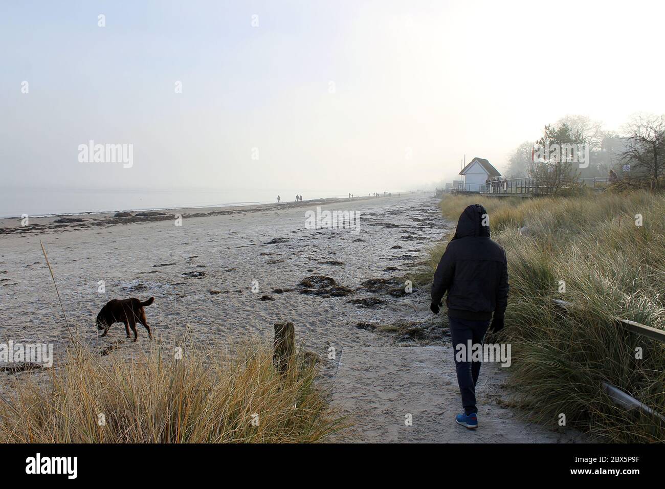 Mann, der am Scharbeutz Strand an einem kalten Wintermorgen Hund läuft. Einsames Wandern, Strandaktivitäten, soziale Distanzierung Stockfoto