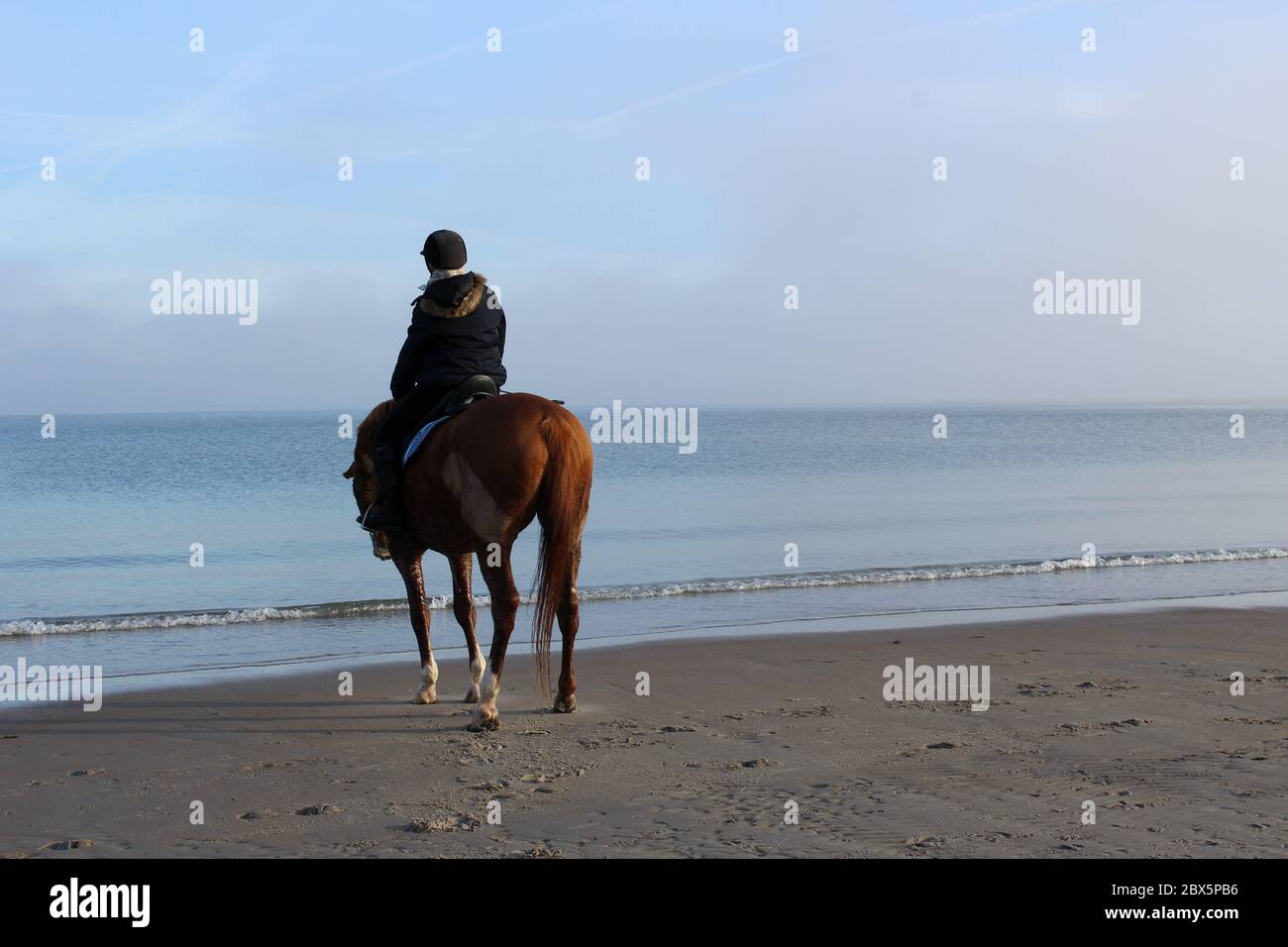 Einsamer Reiter auf dem Pferd mit Blick auf das Meer am Strand von Scharbeutz am Morgen. Stockfoto