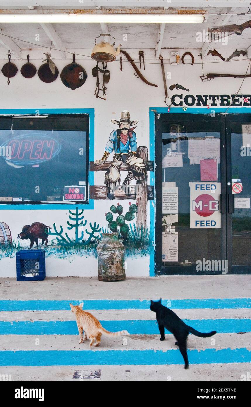 Katzen an westlichen Kunst Wandmalereien an der Ladenfront des Straßencafés und Contreras auf der Autobahn US-59 in der Nähe Laredo, Texas, USA Stockfoto