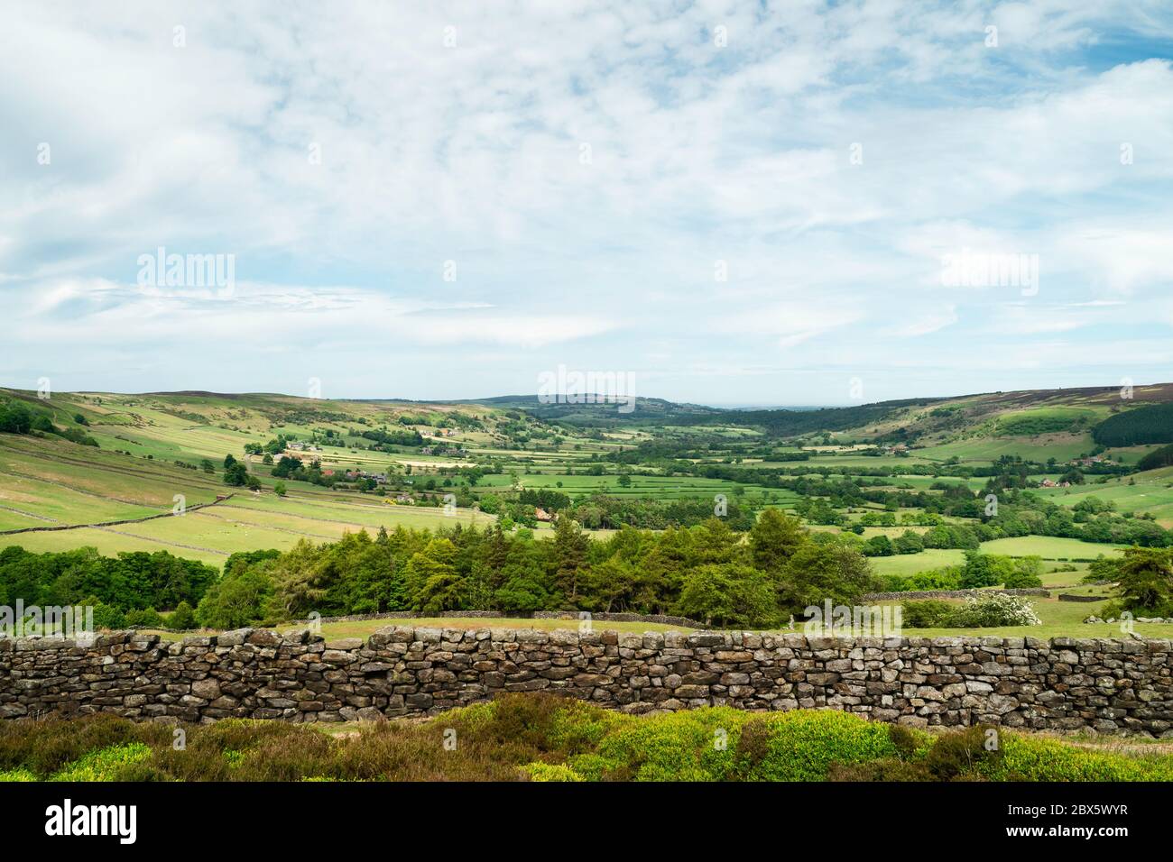 Blick über die North York Moors mit prominenter Trockenmauer, Bäumen, Feldern, Heidekraut und Gräsern unter blauem, bewölktem Himmel im Frühjahr in Glaisdale, York Stockfoto