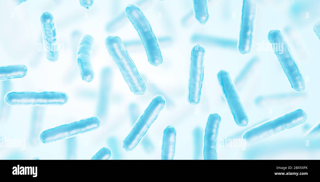 Bakterien. Biologische Zelle. Blaue Farbe. Prokaryotische Mikroorganismen. 3d-Darstellung. Stockfoto