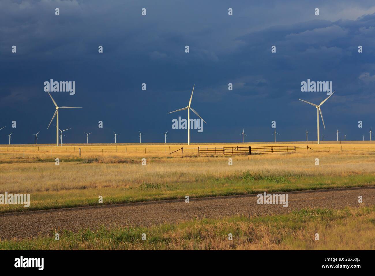 Windpark, Clarendon Texas, nördlich der Interstate 40 Route 66 Gray County Texas. Am späten Nachmittag Sonne mit stürmischem Wetter im Hintergrund. Stockfoto