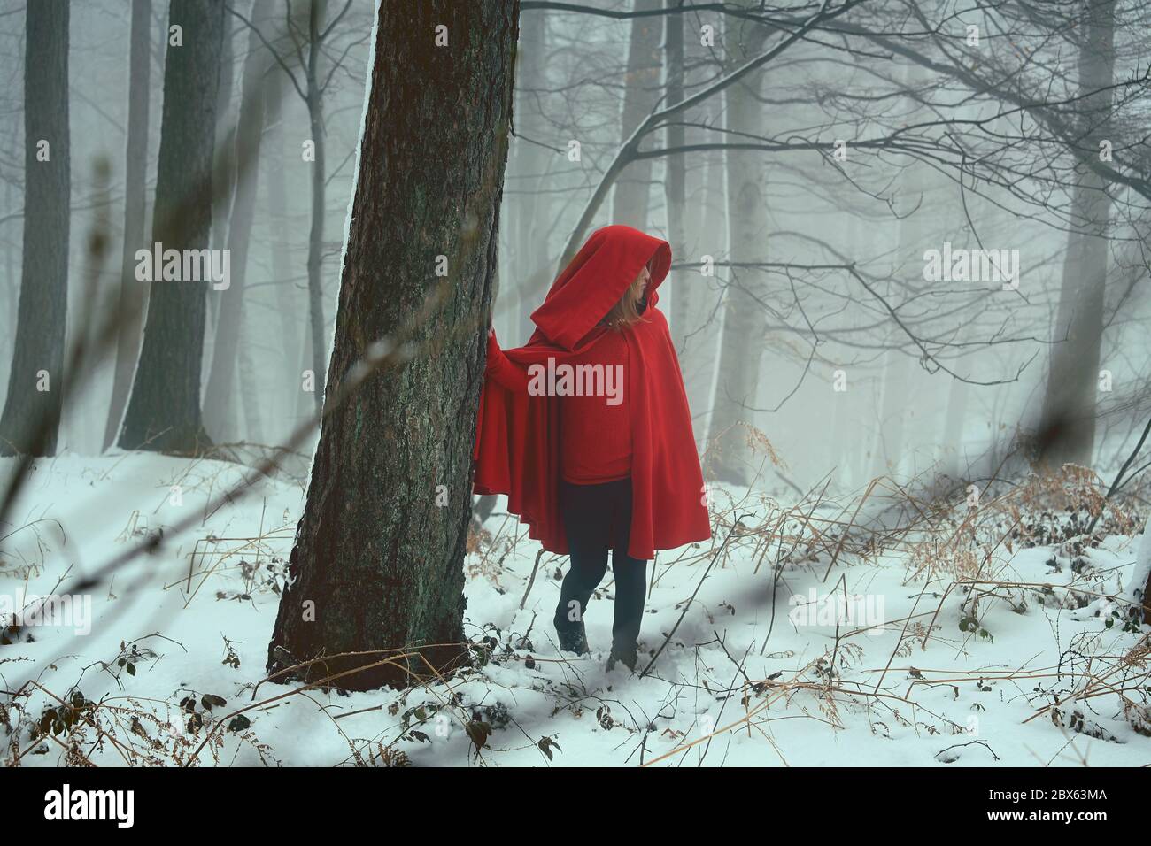 Rote Kapuzenfrau allein in einem kalten Wald Stockfoto