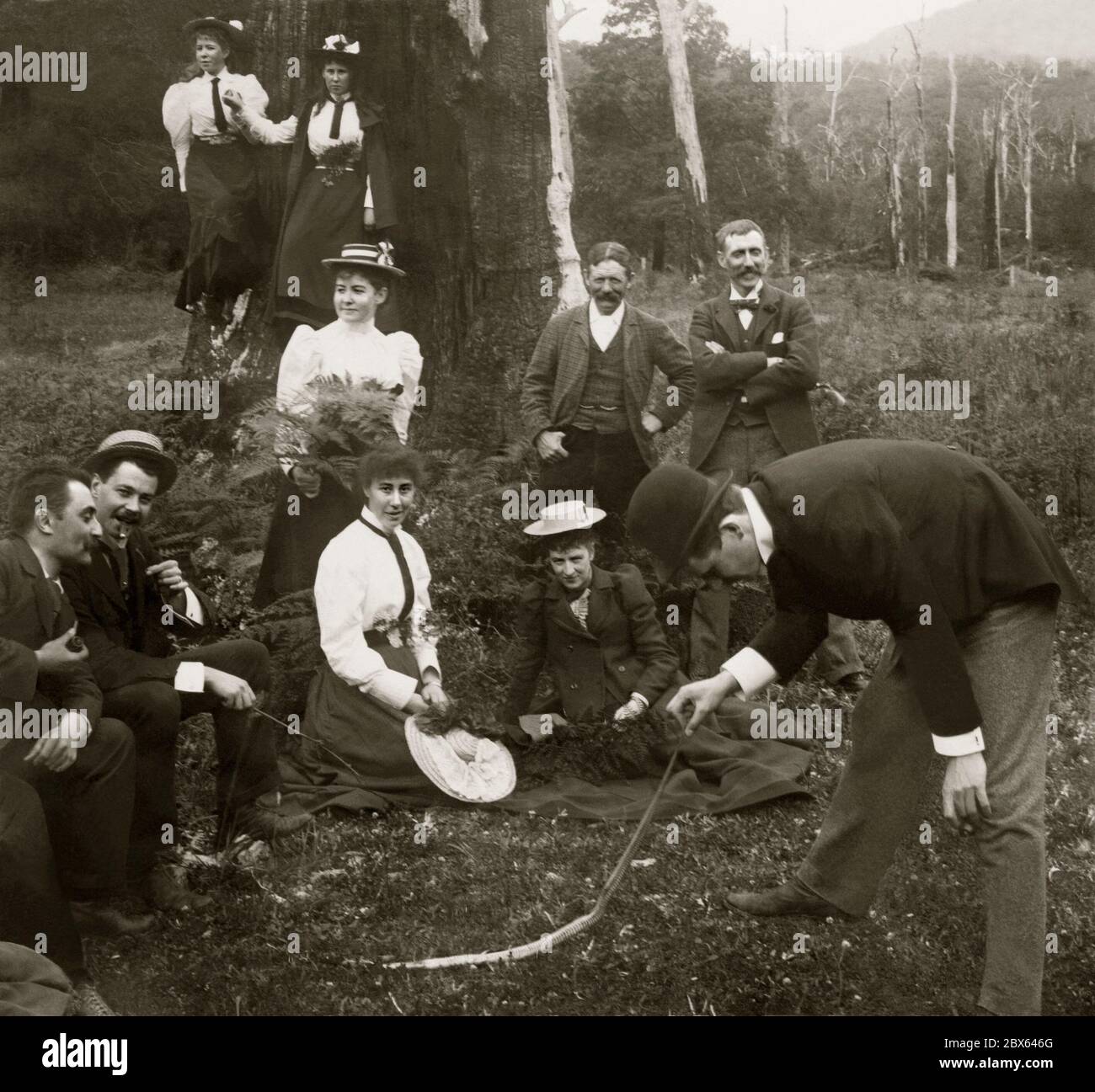 Eine Gruppe aus BushWalking posiert für die Kamera in Victoria, Australien c.. 1900. Nachdem er auf eine tote Schlange gestoßen ist, nimmt ein Mann sie vorsichtig am Schwanz auf. Die Frauen und Männer sind modisch in ganz formelle Kleidung für einen solchen Ausflug gekleidet. Sie sind von Eukalyptus und Farnen umgeben. Stockfoto