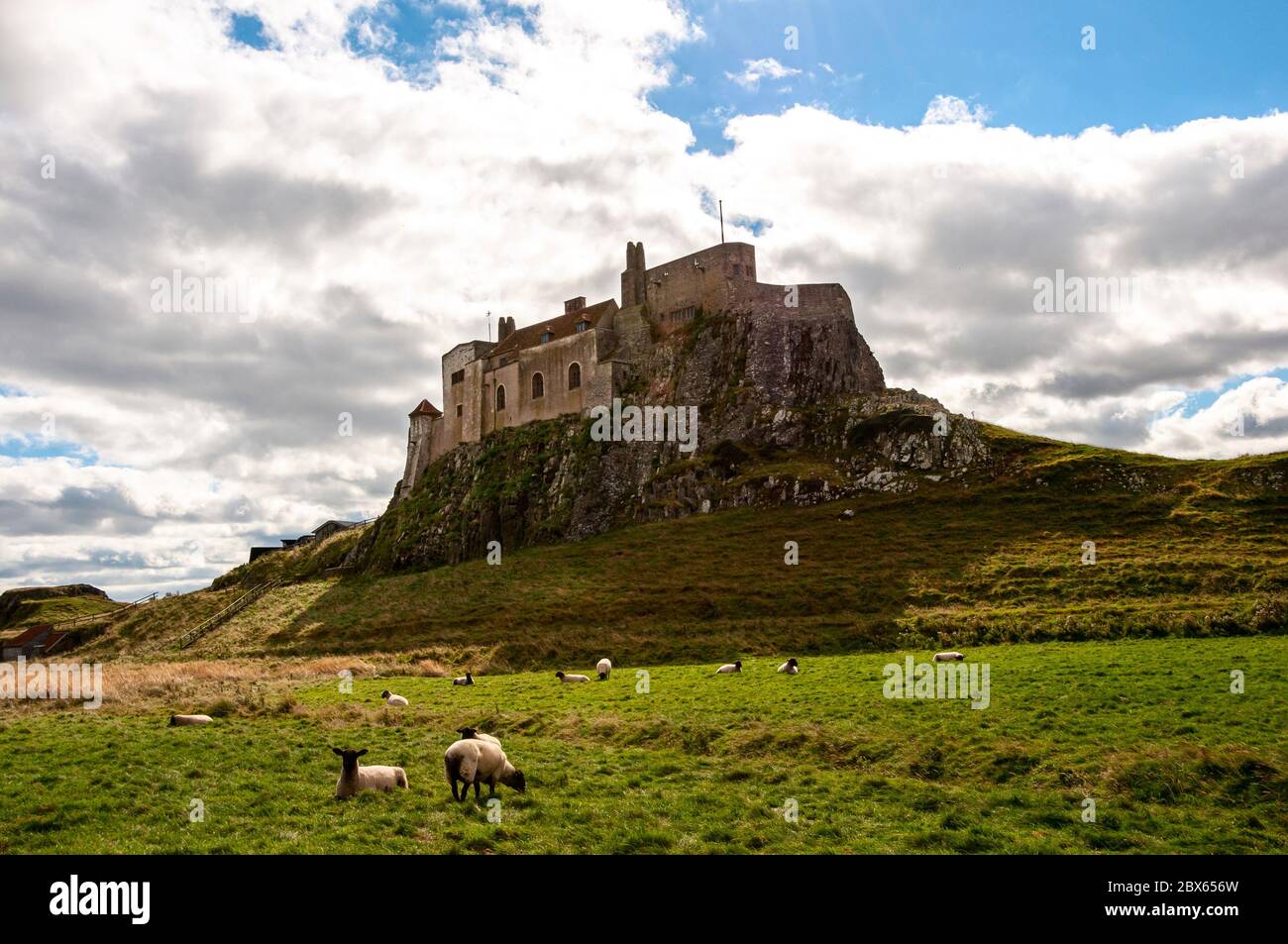 Schafe weiden unter dem kleinen Schloss aus dem 16. Jahrhundert, das von Sir Edwin Lutyens 1901 auf dem Gipfel des steilen, grasbedeckten Beblowe-Hügels umgebaut wurde Stockfoto