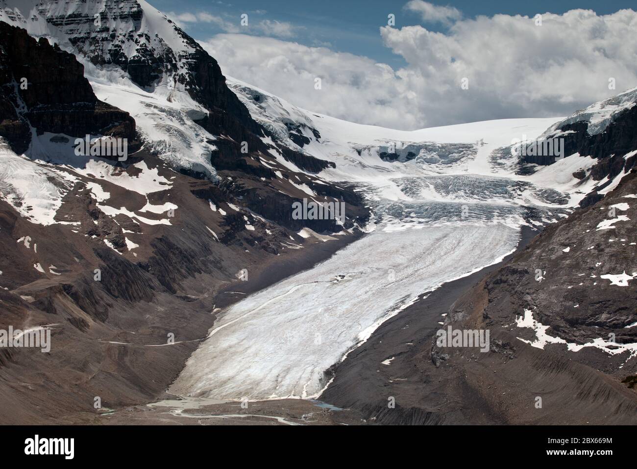 Athabasca Gletscher von Wilcox Ridge Stockfoto