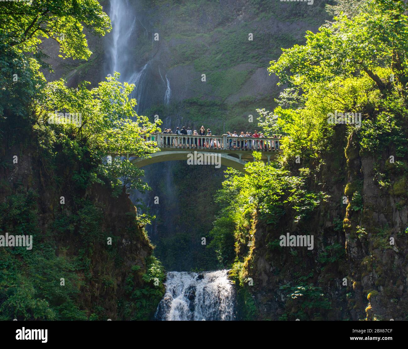 Blick auf die Multnomah Falls in Columbia River Gorge, Oregon Stockfoto