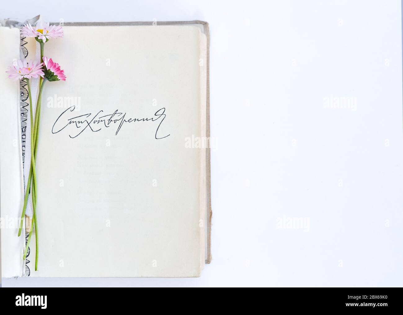 Öffnen Sie das alte Buch der Gedichte. Blumenstrauß aus Gänseblümchen. Ansicht von oben. Auf weißem Hintergrund. Für Text platzieren. Stockfoto