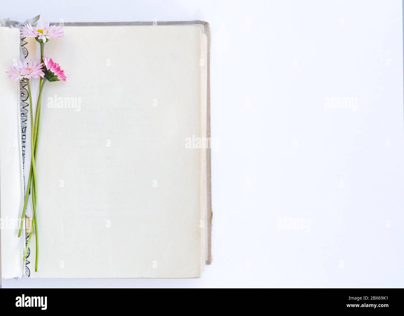 Altes Buch öffnen. Blumenstrauß aus Gänseblümchen. Ansicht von oben. Auf weißem Hintergrund. Für Text platzieren. Stockfoto