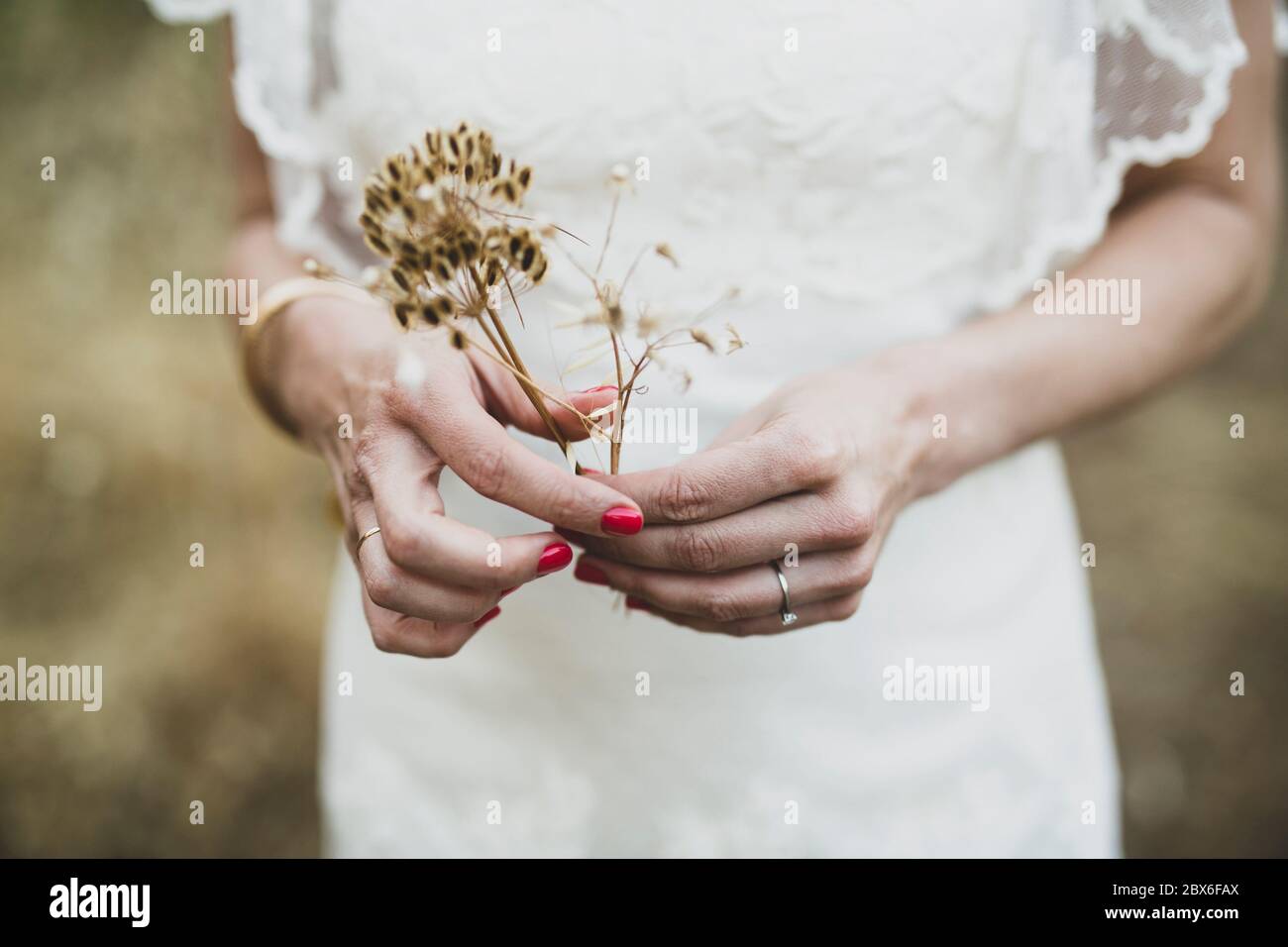 Alle de manos de novia reciÃ©n casada Stockfoto