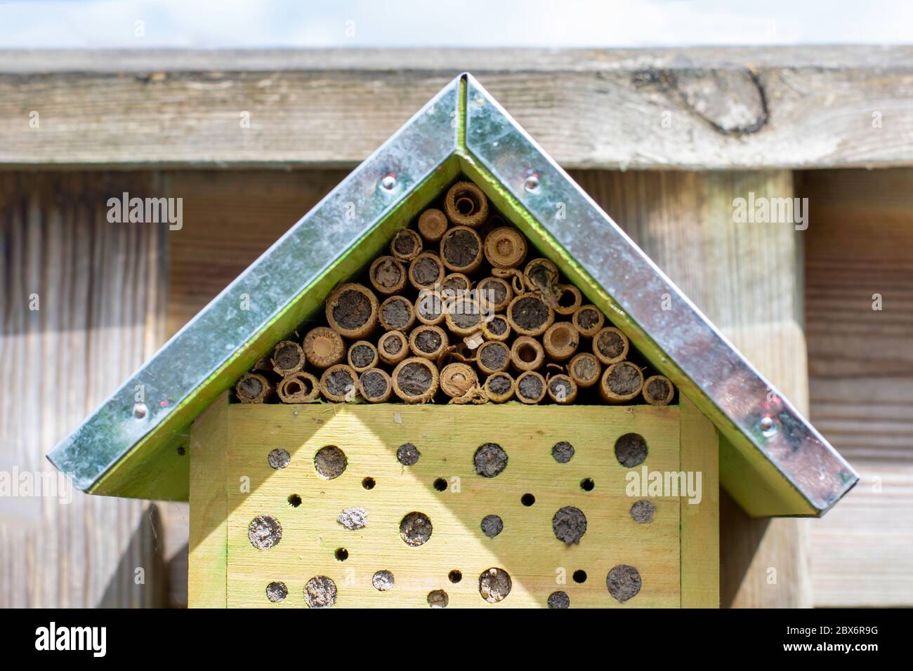 Ein kleines ökologisches Insektenhotel Insektenhaus mit einer wilden Biene auf der rechten Seite. Natur- und insektenfreundliches Hotel. Wilde Bienen und andere Insekten machen ein Nest Stockfoto