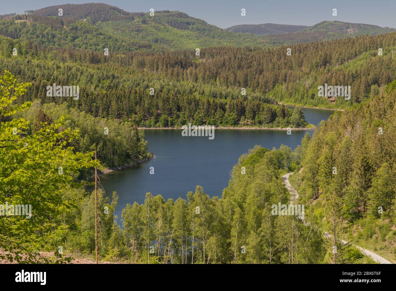 Blick auf einen Absperrsee von einem Wanderweg im Nationalpark Harz Stockfoto
