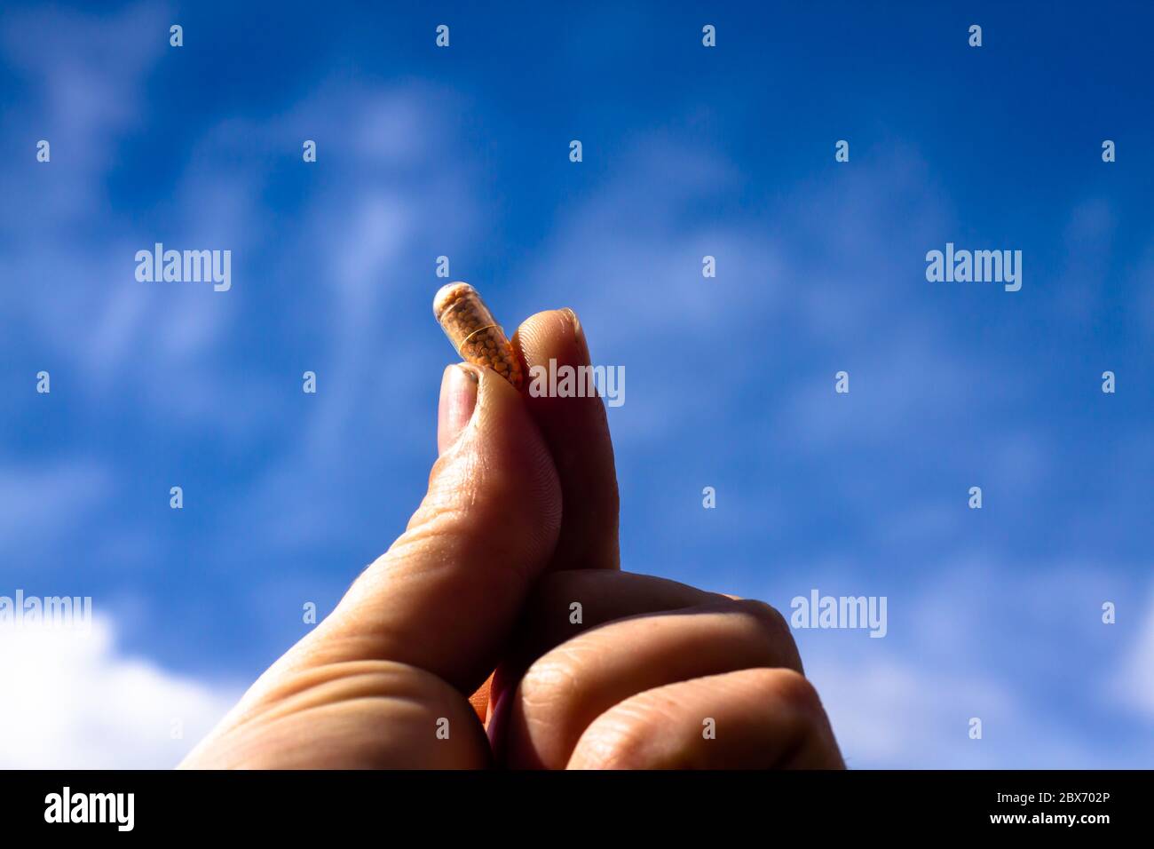 Hand hält Tablette oder Pille vor einem blauen Himmel Stockfoto