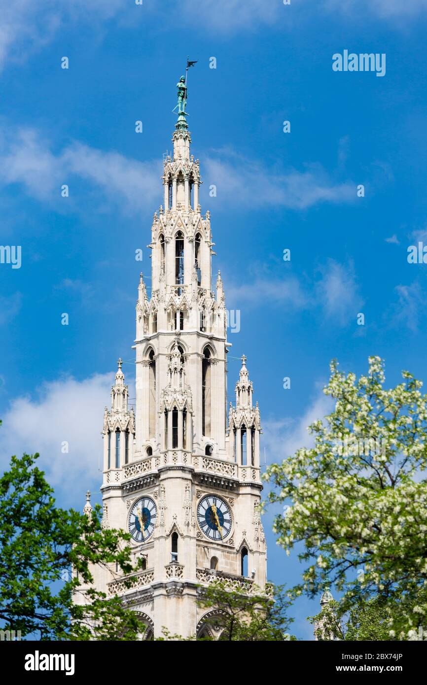 Der Turm des Wiener Rathauses hinter einigen Bäumen mit blauem Himmel, Österreich. Stockfoto