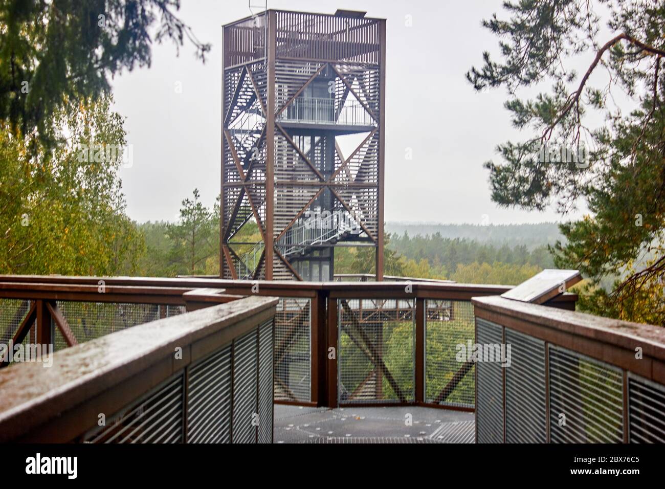 Fußgängerbrücke im Wald und Aussichtsturm im Hintergrund Stockfoto