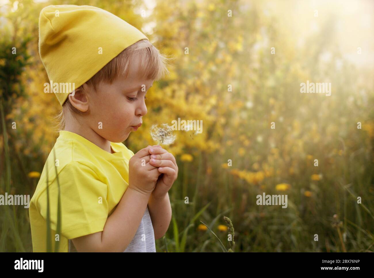 Das blonde Kind hält eine weiße Blume in seinen kleinen Händen, eine sonnige Stimmung und Zärtlichkeit Stockfoto