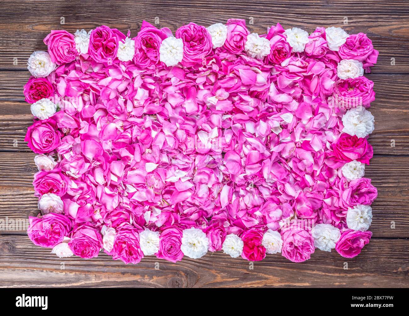 Roses Rahmen mit leerem Raum für benutzerdefinierten Text aus Damasken Blumen Stockfoto
