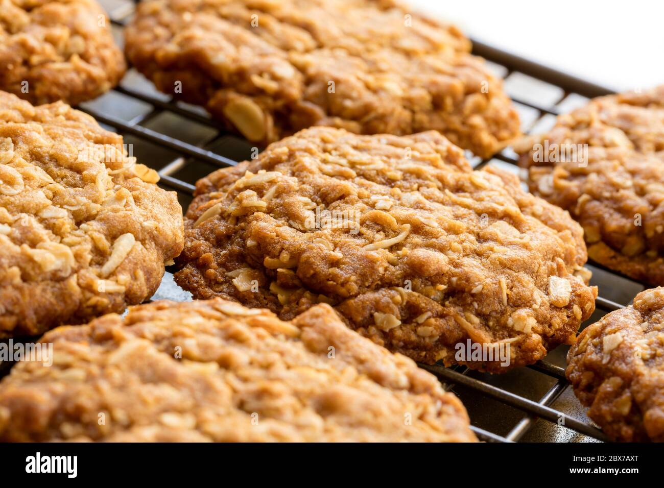 Anzac Kekse kühlen auf Rack. Hausgemachte traditionelle australische Küche. Stockfoto