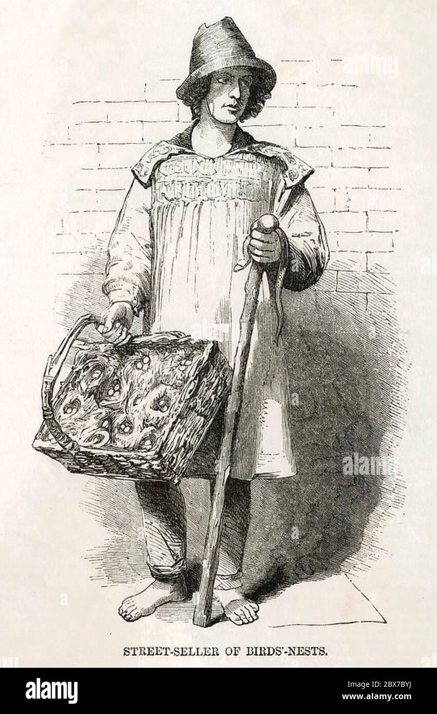 VOGELNEST VERKÄUFER in London Street von Henry Mayhew's 'London Labour and the London Poor' 1851 Stockfoto