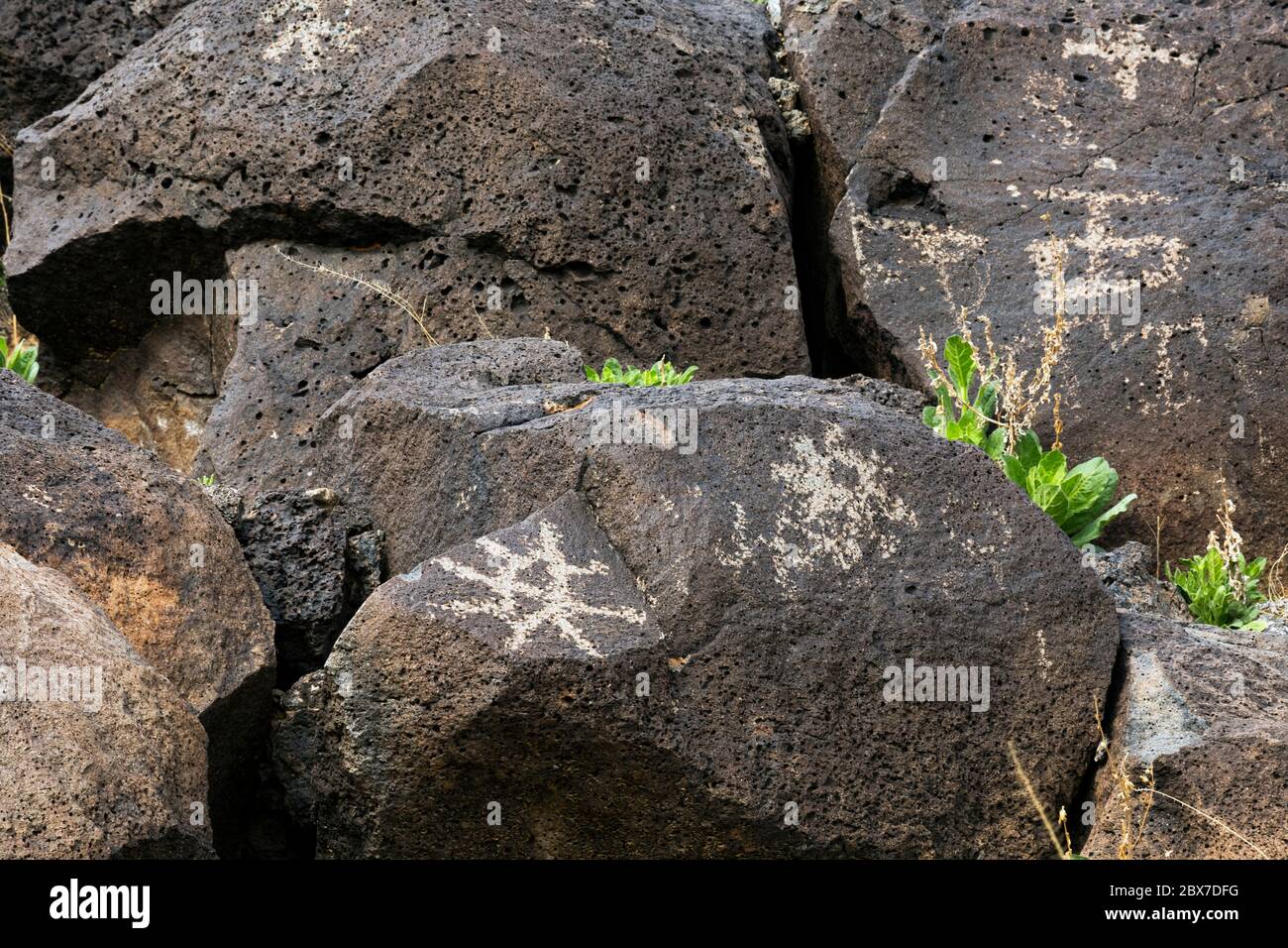NM00535...NEW MEXICO - EINE Felszeichnung, die auf basaltischen Felsbrocken von den Vorfahren Puebloans in Petroglyph National Monument gepickt wurde, Stockfoto