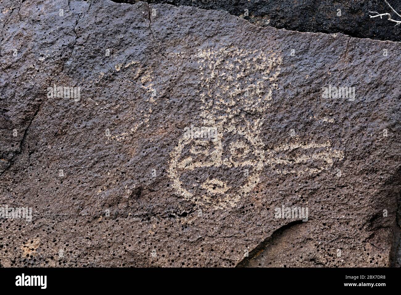 NM00542-00...NEW MEXICO - EINE mystische Figur oder zeremonielle Maske, die auf einem Basaltsteinchen im Piedras Marcadas Canyon am Petroglyph Nat'l Monument gepickt wurde. Stockfoto