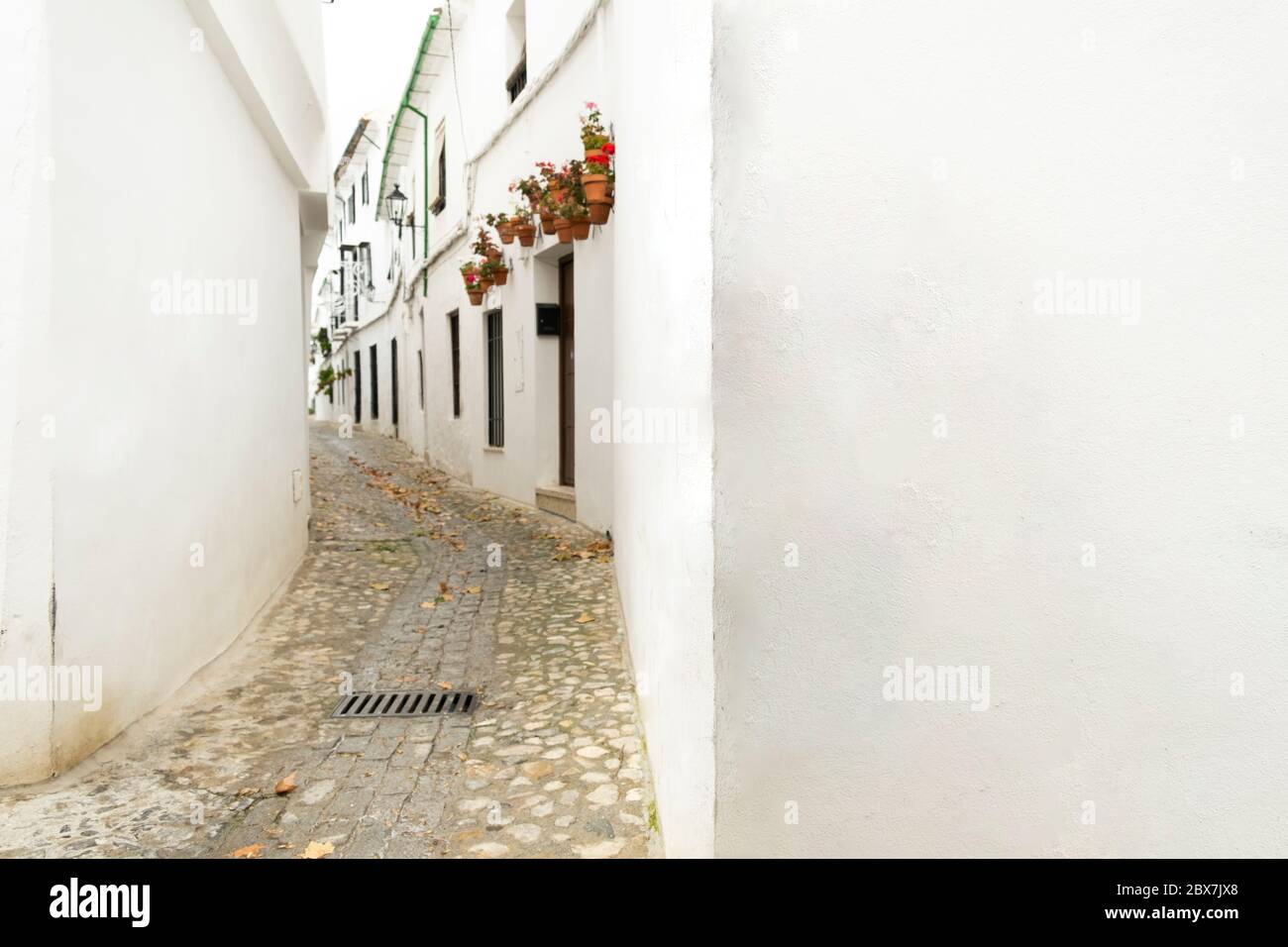 Rote Geranien in Blumentöpfen hängen an weißen Stuckwänden entlang eines schmalen gepflasterten Gehwegs. Priego de Cordoba. Spanien Stockfoto