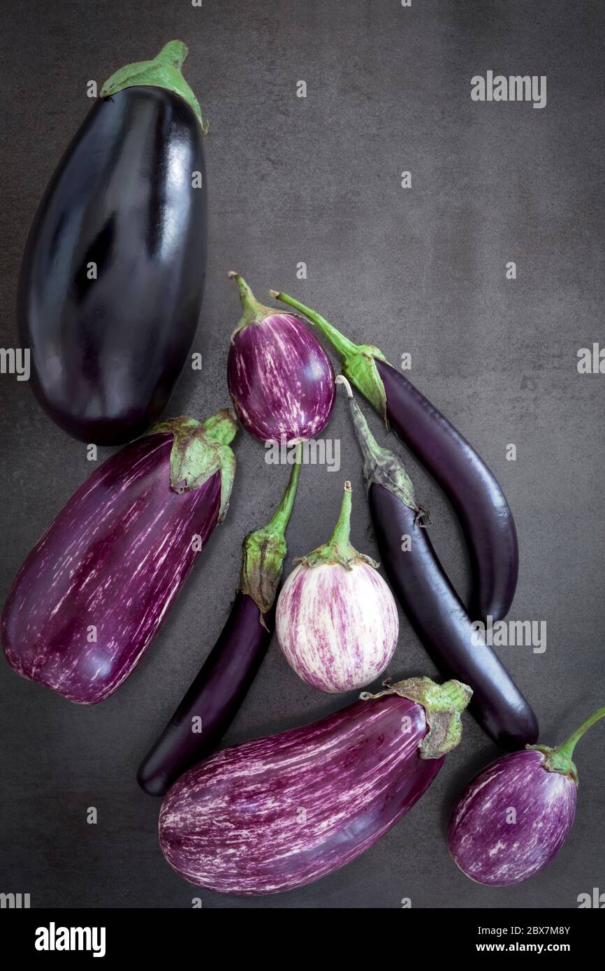 Auberginen Sorten auf schwarzem Schiefer Hintergrund. Ansicht von oben. Stockfoto