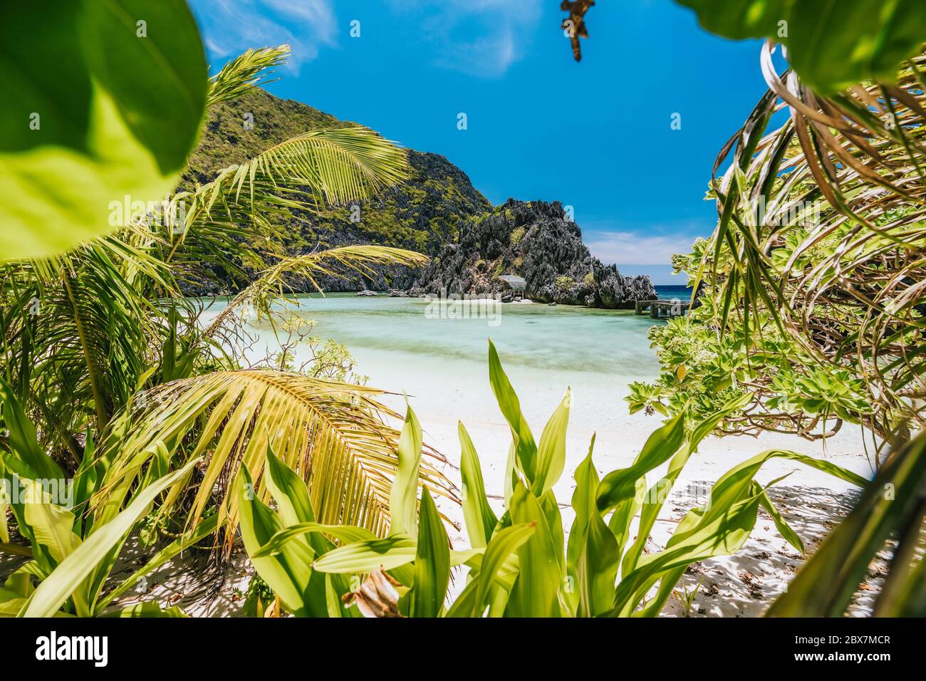 El Nido, Palawan, Philippinen. Unbekannter Star Beach. Wunderschöne flache Lagune und exotische Pflanzen Stockfoto