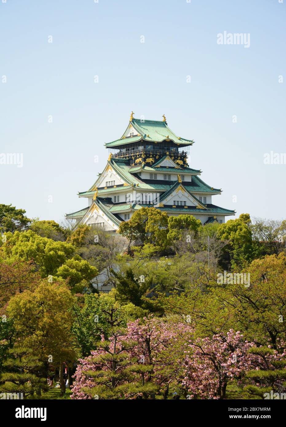 Osaka Burg mit Bäumen und Sakura an sonnigen Tagen Stockfoto