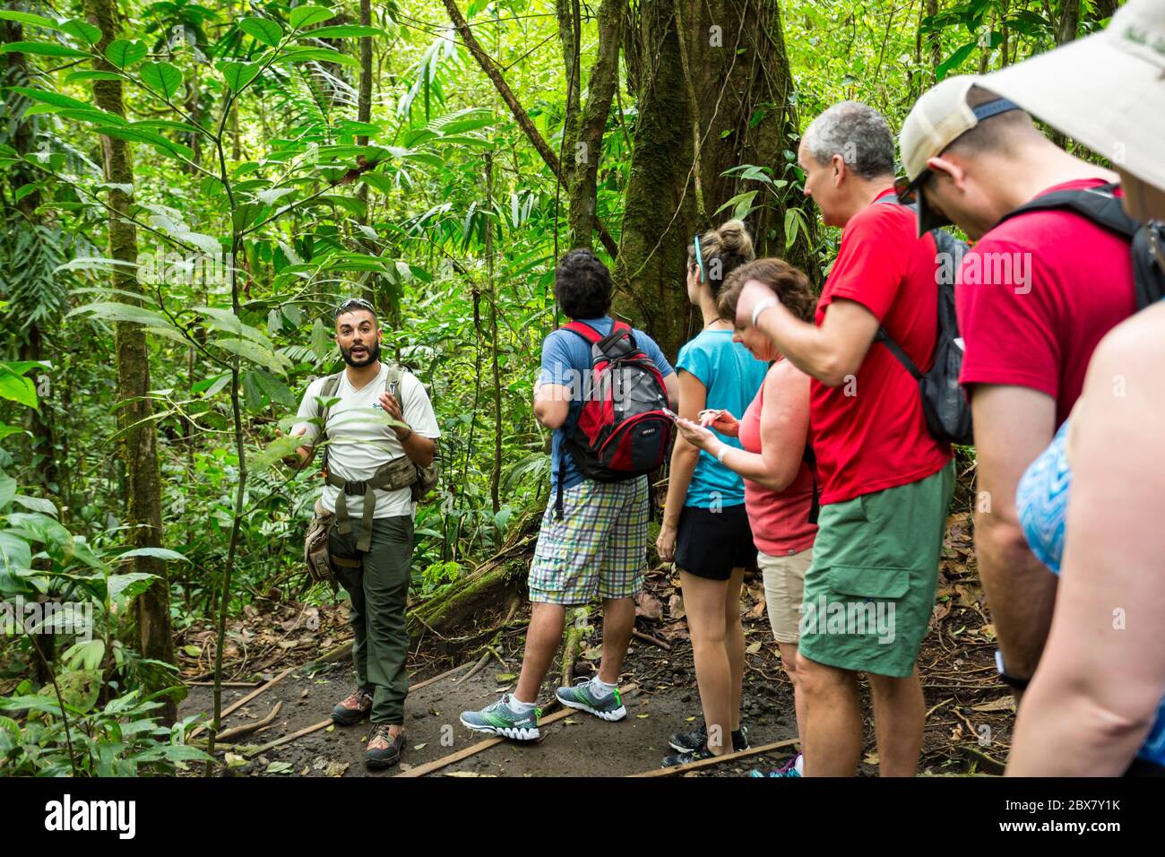 Alan, Reiseführer bei Swiss Travel, kommuniziert mit Wanderern in Sensoria, tropischem Regenwald-Reservat, Rincon de la Vieja, Provincia de Alajuela, Costa Stockfoto