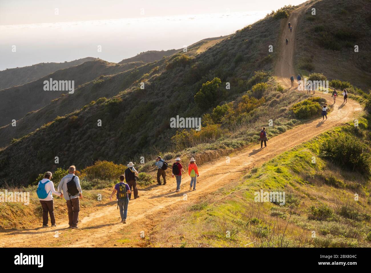 Menschen wandern zu einem Fotoworkshop in Catalina Island CA Stockfoto