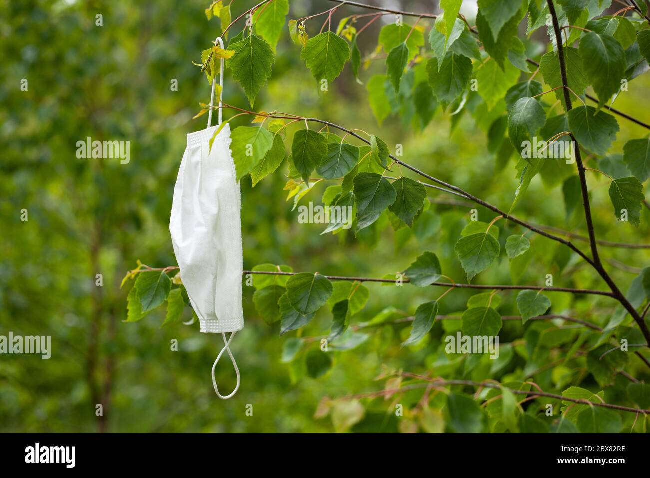 Gebrauchte medizinische Maske in einem Wald auf einem Baum, Verschmutzung des Ökosystems der Natur. Stockfoto