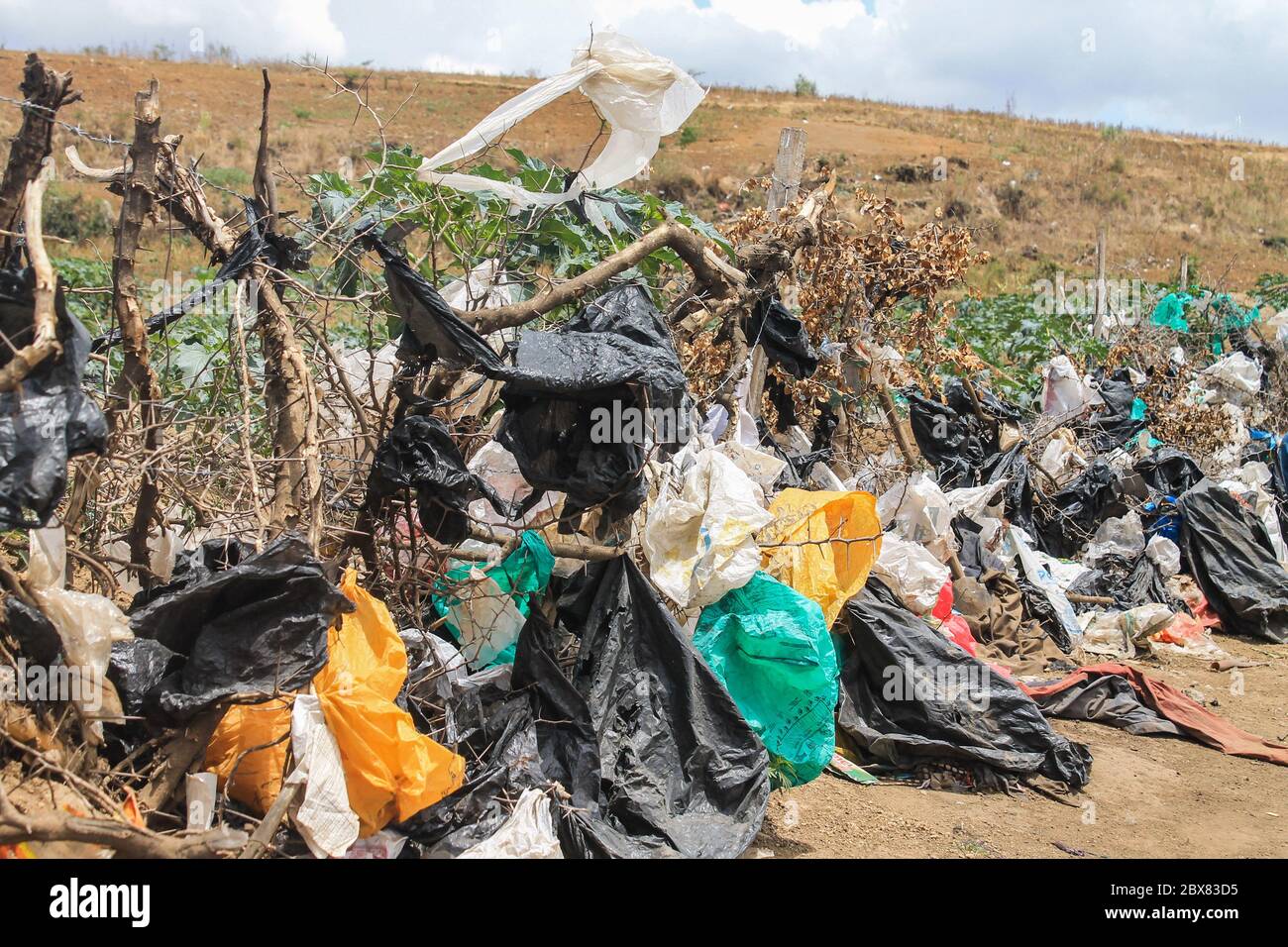 Ansicht einer mit Plastiktüten verschmutzten Szene in Nakuru. Während des Weltumwelttags begann Kenia mit der Einführung eines Verbots der einmaligen Verwendung von Kunststoff in allen Schutzgebieten. Frühere Plastiktüten Verbot wurde als erfolgreich von vielen gefeiert. Stockfoto