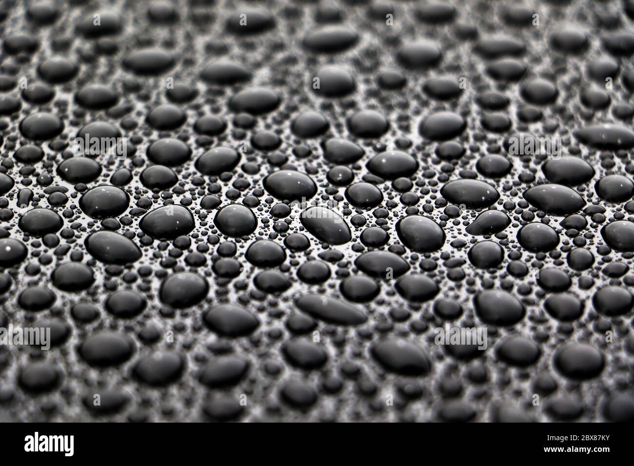 Nahaufnahme von Tausenden von Perlen Wassertropfen auf Auto-Fahrzeug Stockfoto