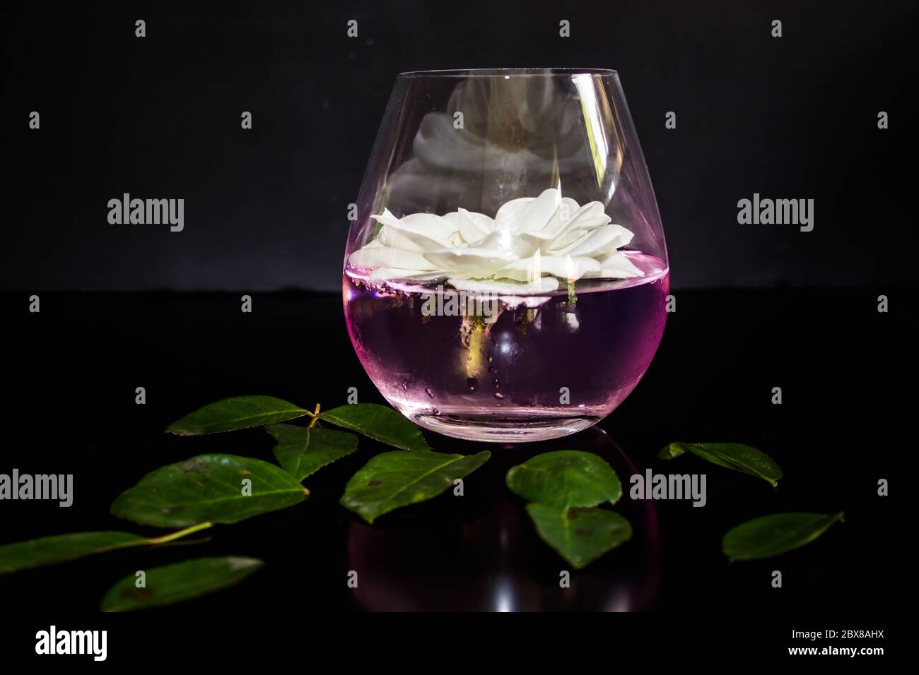 Eine Rose aromatisiert, rosa, Gin und Tonic, garniert mit einer ganzen Iceberg Rose, auf einer schwarzen Arbeitsplatte mit Rosenblättern bestreut Stockfoto