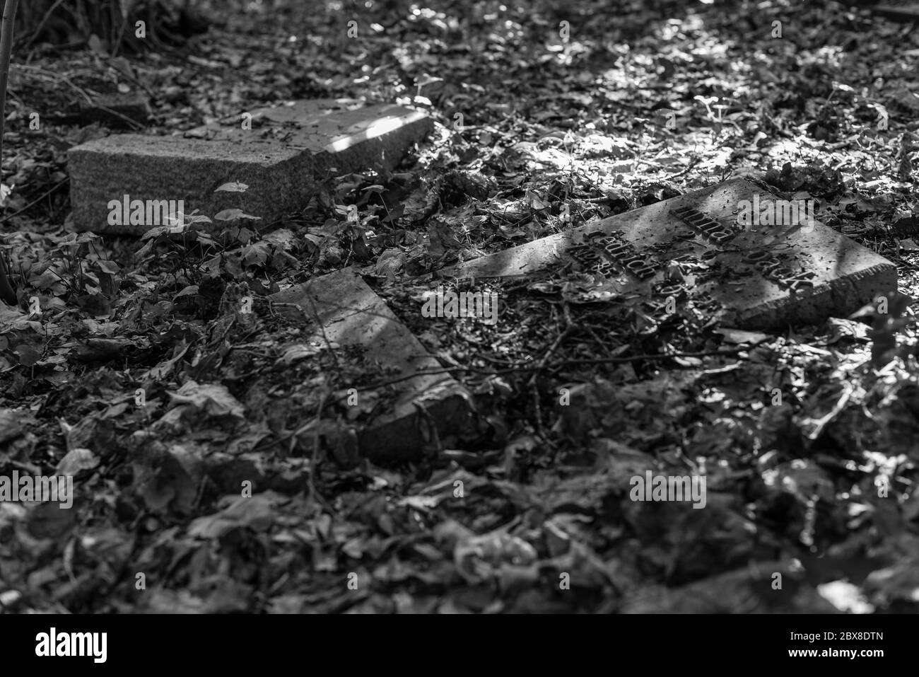 Alte Gräber im Wald, alter Friedhof, Gräber, die niemand interessiert, überwachsene Gräber, Schwarz-Weiß-Foto, dunkles Foto Stockfoto