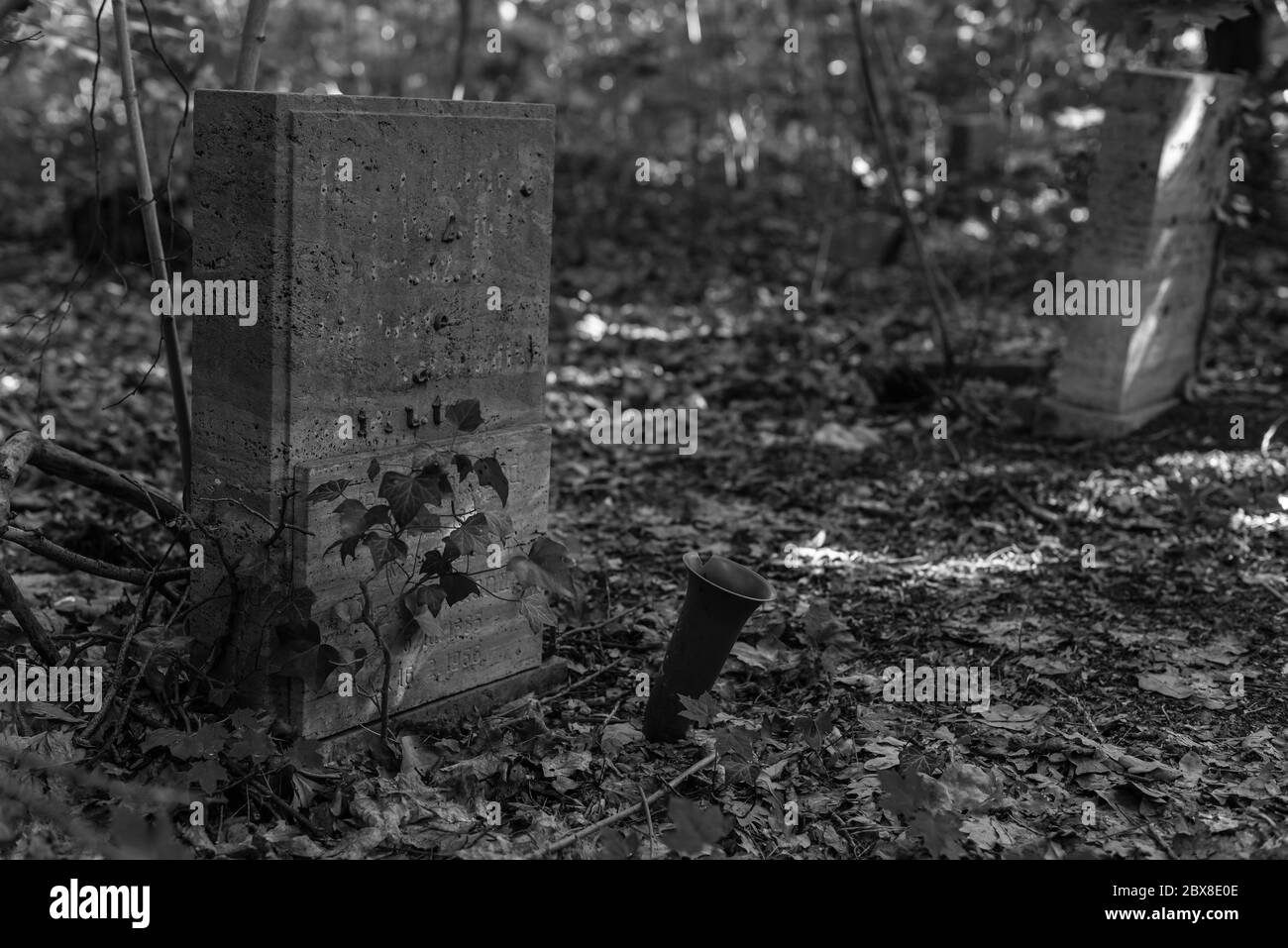 Alte Gräber im Wald, alter Friedhof, Gräber, die niemand interessiert, überwachsene Gräber, Schwarz-Weiß-Foto, dunkles Foto Stockfoto