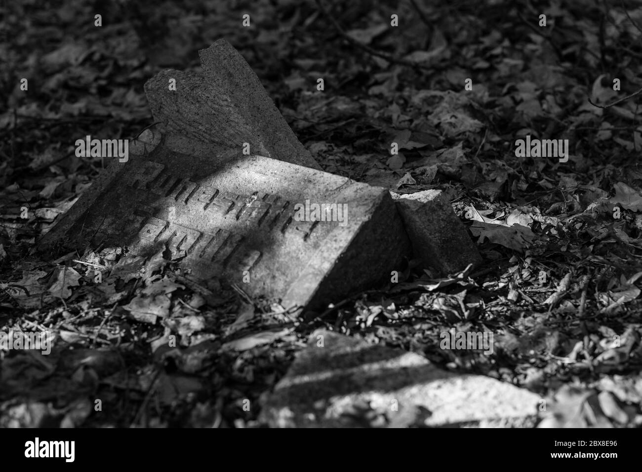 Alte Gräber im Wald, alter Friedhof, Gräber, die niemand interessiert, überwachsene Gräber, Schwarz-Weiß-Foto, dunkles Foto Stockfoto