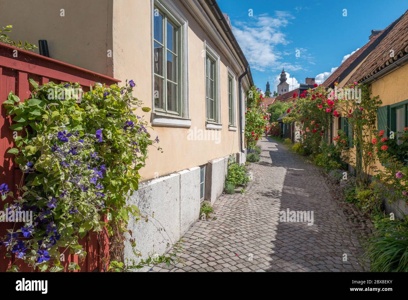 Die malerische mittelalterliche Gasse Fiskargränd ist eine beliebte Touristenattraktion in Visby auf Schwedens größter Insel Gotland. Stockfoto