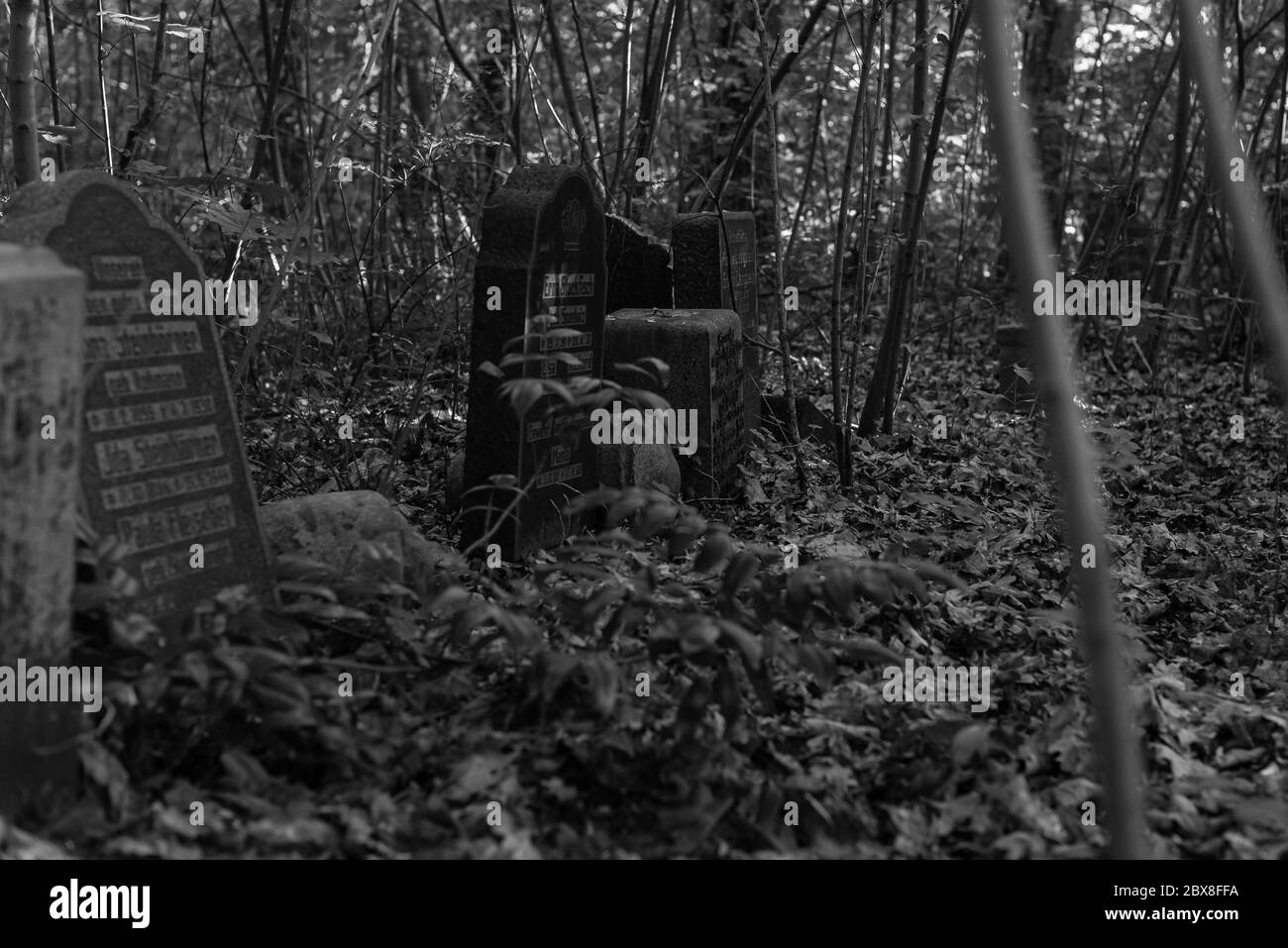Alte Gräber im Wald, alter Friedhof, Gräber, die niemand interessiert, überwachsene Gräber, Schwarz-Weiß-Foto, dunkles Foto Stockfoto