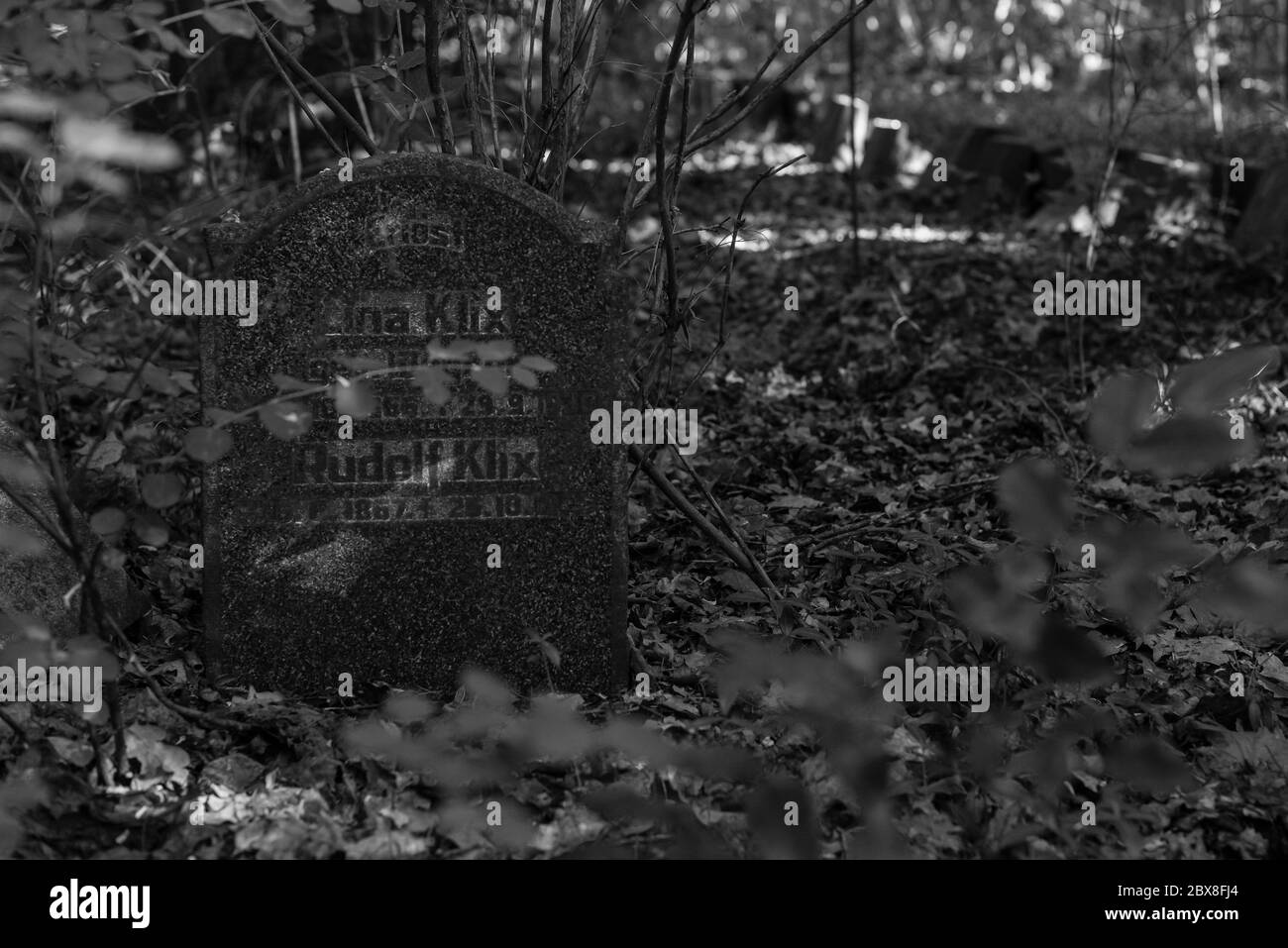 Alte Gräber im Wald, alter Friedhof, Gräber, die niemand interessiert, überwachsene Gräber, Schwarz-Weiß-Foto, dunkles Foto Stockfoto
