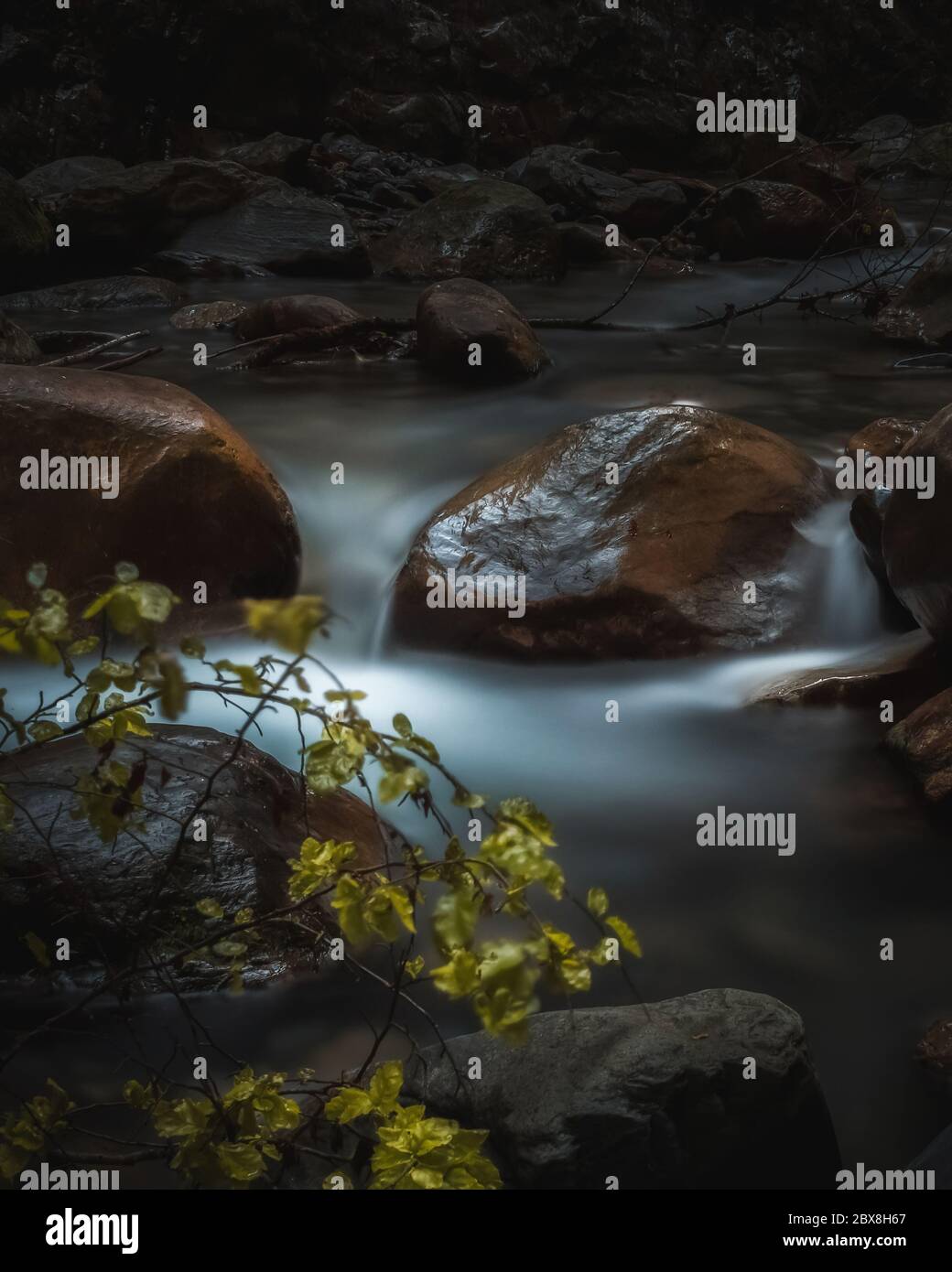 Ein charmanter Bach in Südösterreich Stockfoto