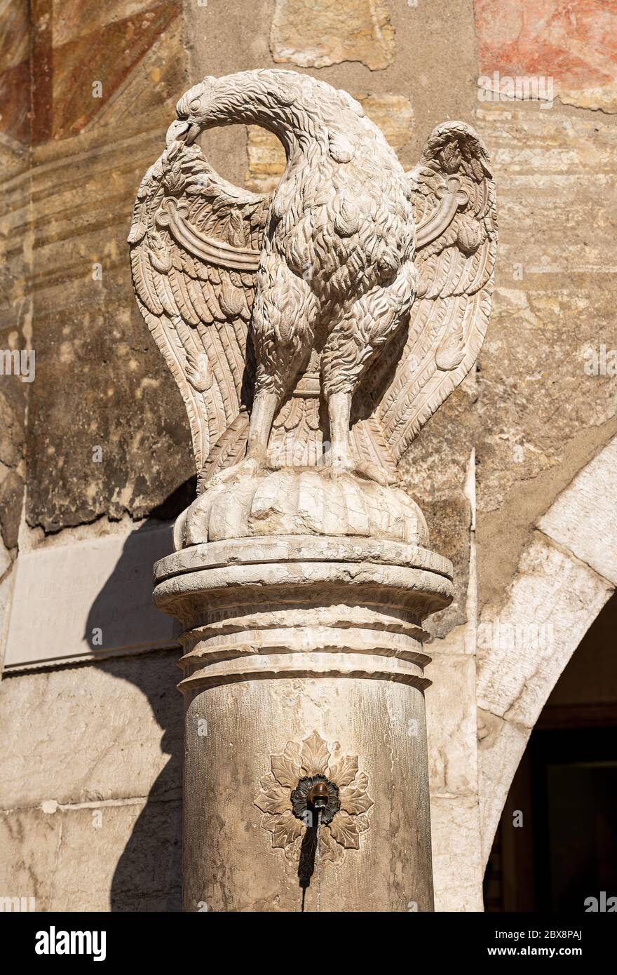 Stadt Trient, Nahaufnahme des Adlerbrunnens auf der Piazza del Duomo (Domplatz), Marmorskulptur (1850). Trentino-Südtirol, Italien, Europa Stockfoto
